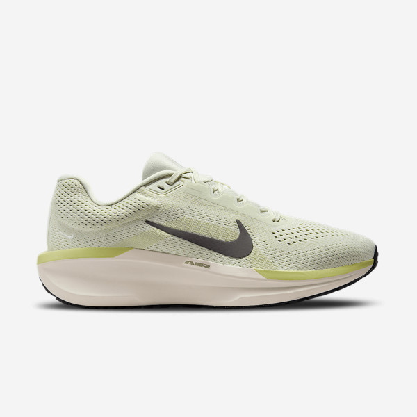 Zapatillas Nike Air Winflo 11