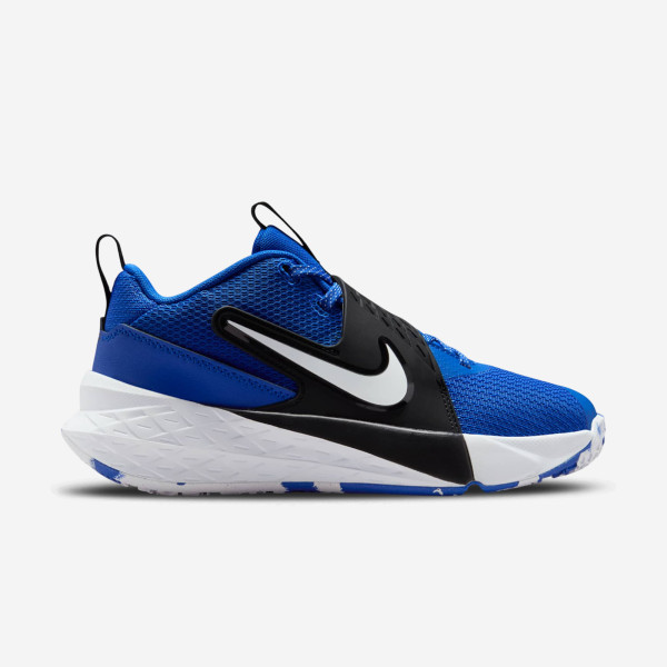Zapatillas Nike Team Hustle D 12 GS Niño
