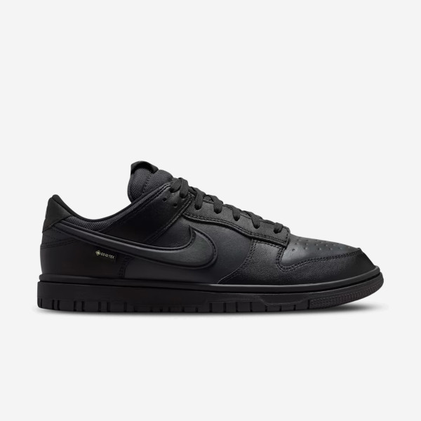 Zapatillas Nike Dunk Low GTX Hombre